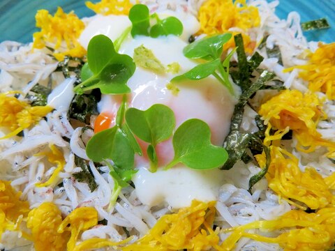 花丼・シラスと食用菊・菊花の彩ご飯